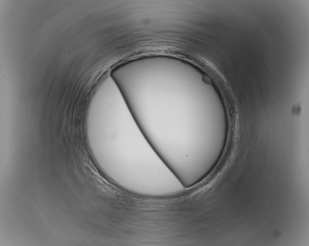 X0000111010777200906191207
