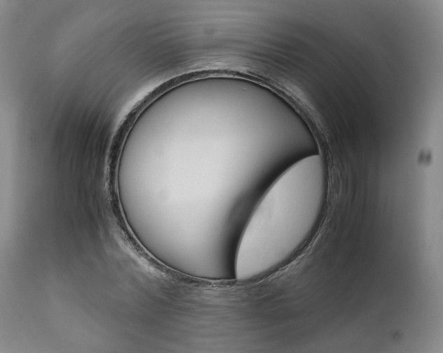 X0000111010780200906191207