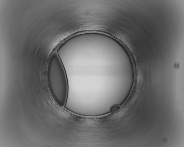 X0000111010781200906191207