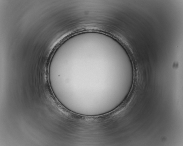 X0000111010782200906191207