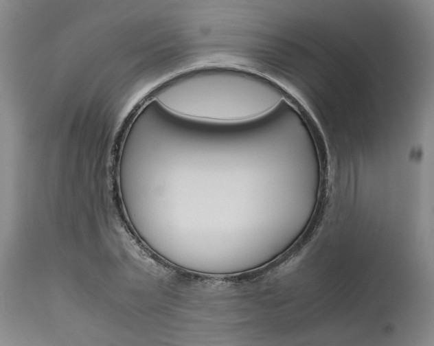 X0000111010783200906191206
