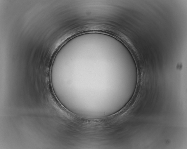 X0000111010786200906191206