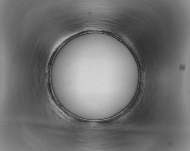 X0000111010787200906191206