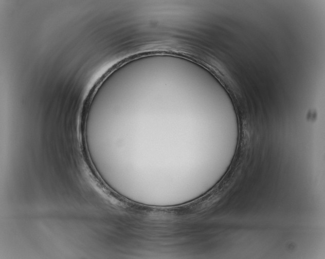 X0000111010788200906191206