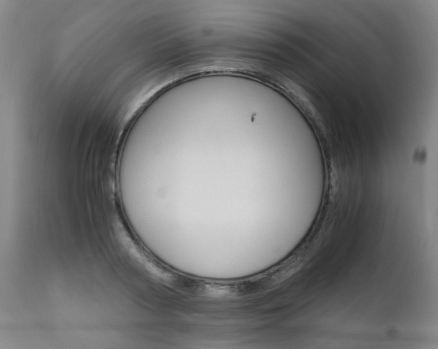 X0000111010794200906191206
