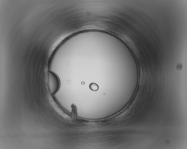 X0000111010796200906191206