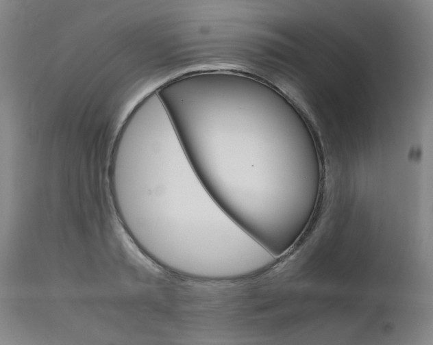 X0000111010797200906191206