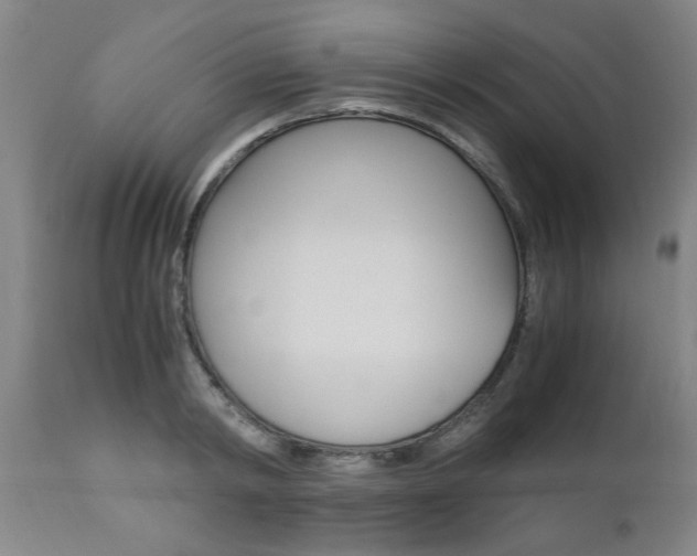 X0000111010798200906191206