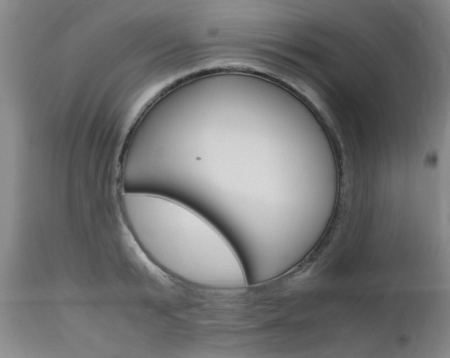 X0000111010799200906191206