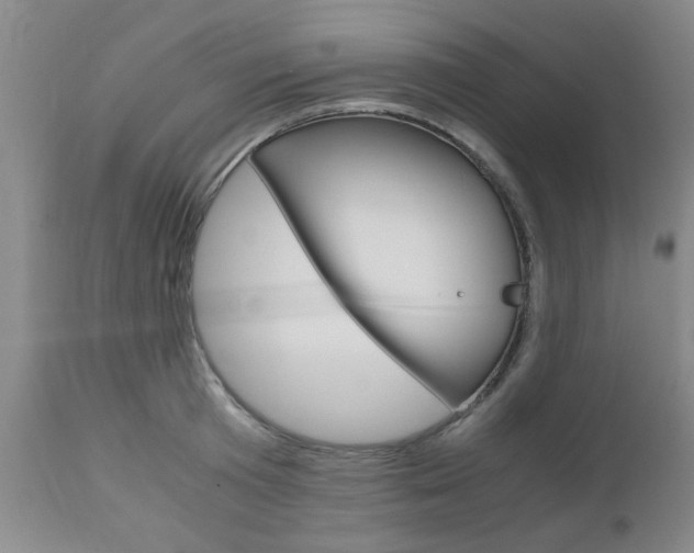 X0000111010801200906191206