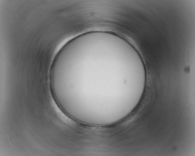 X0000111010803200906191206
