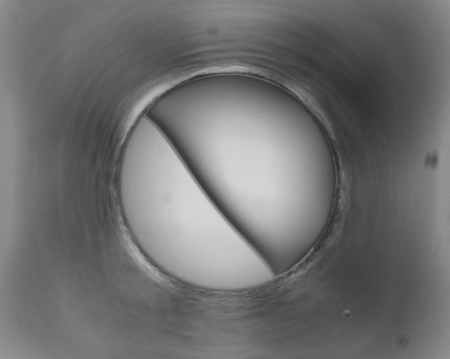X0000111010805200906191206