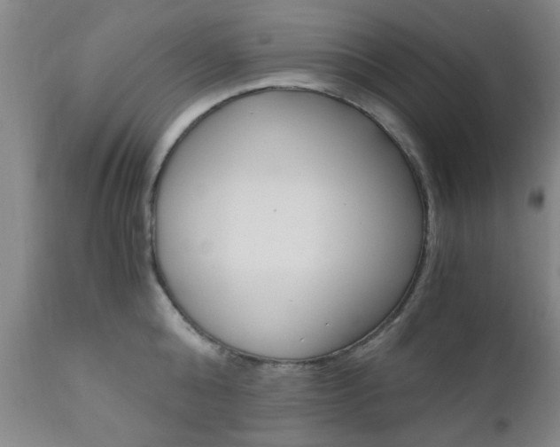X0000111010808200906191206