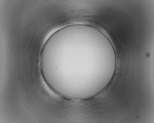 X0000111010811200906191206
