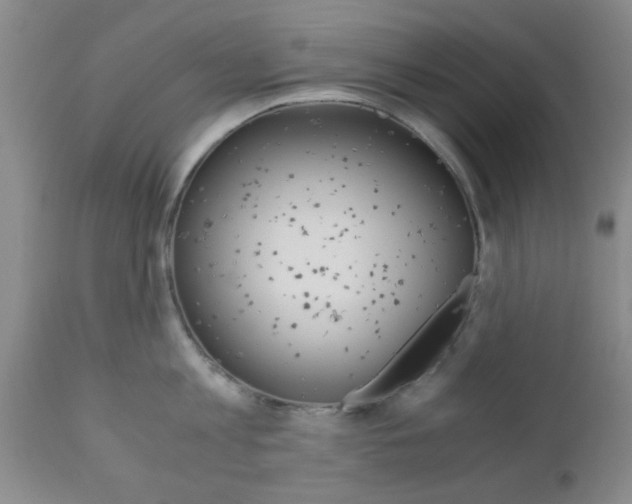 X0000111010813200906191206