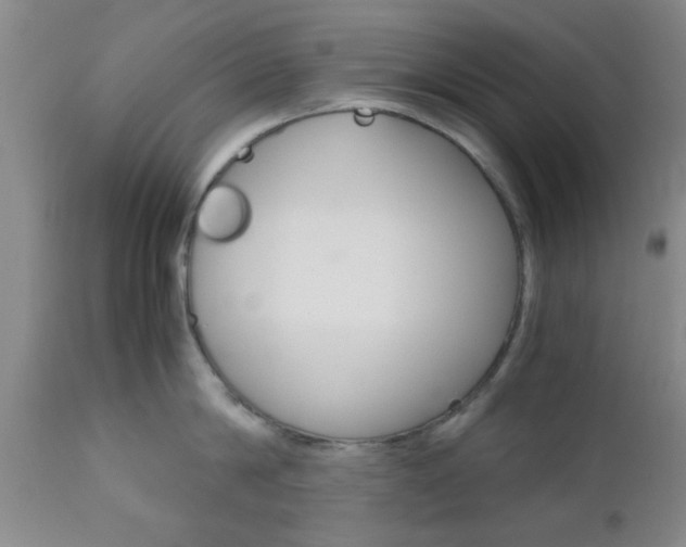X0000111010814200906191206