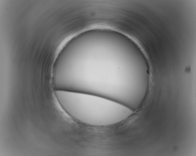 X0000111010815200906191206