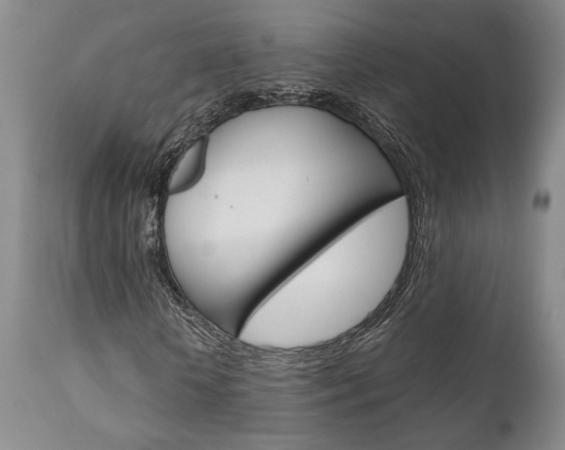 X0000111010818200906191205