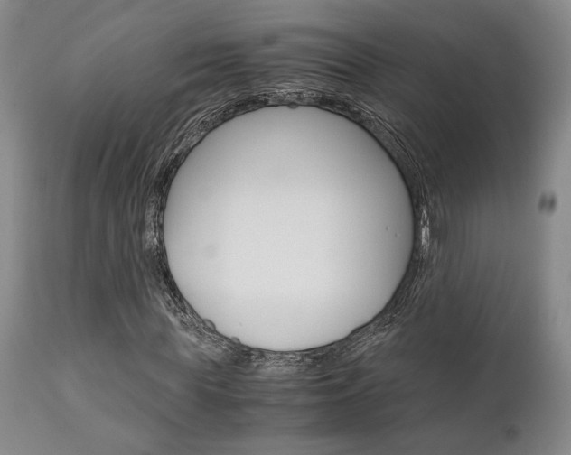 X0000111010819200906191205