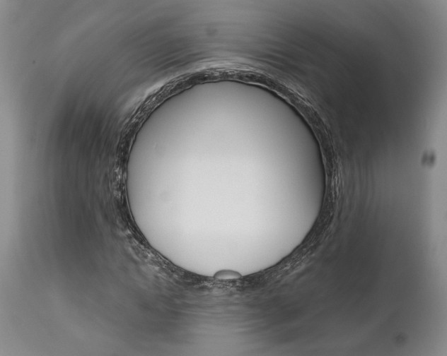 X0000111010822200906191205
