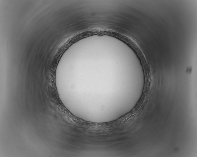 X0000111010823200906191205