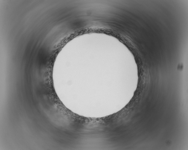 X0000111010824200906191205