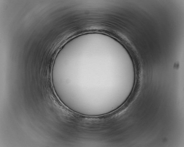X0000111010825200906191205