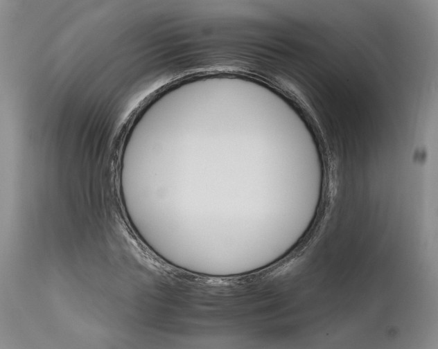 X0000111010827200906191206