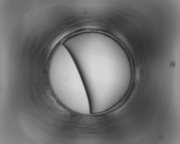 X0000111010829200906191206