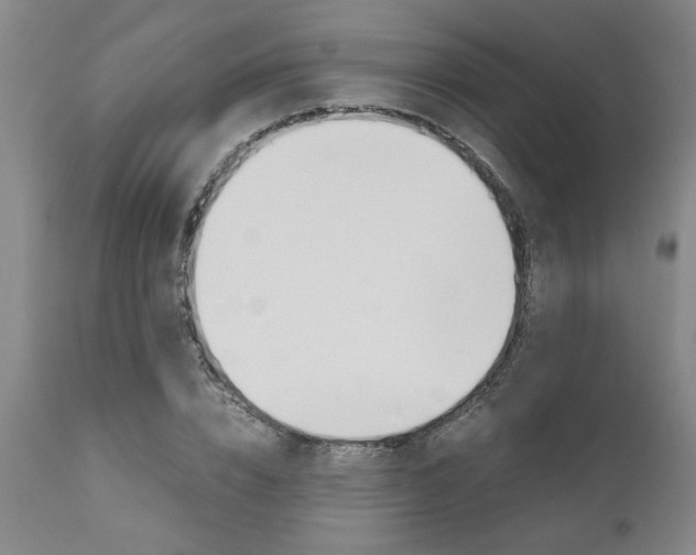 X0000111010832200906191206
