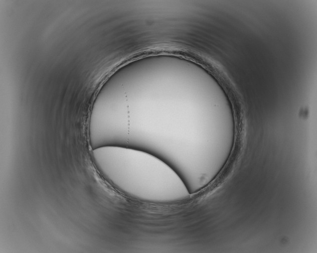 X0000111010833200906191206