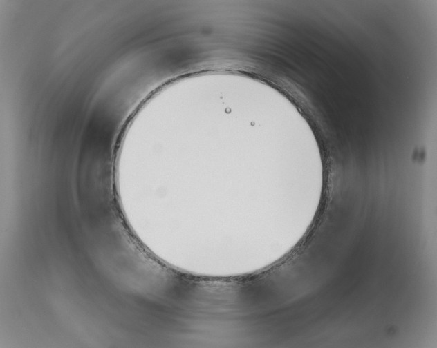 X0000111010836200906191206