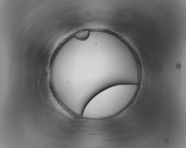 X0000111010840200906191206