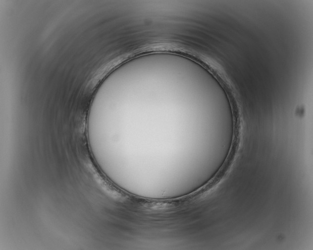 X0000111010841200906191206