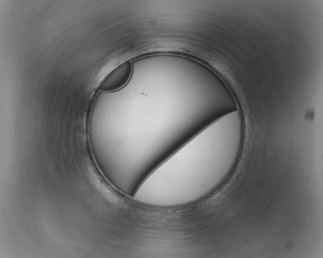X0000111010842200906191206