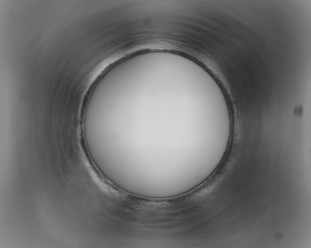 X0000111010845200906191206