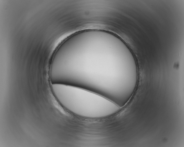 X0000111010846200906191206