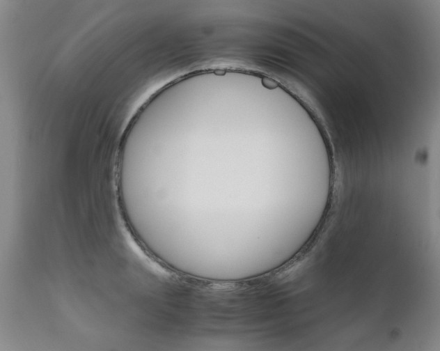 X0000111010847200906191206