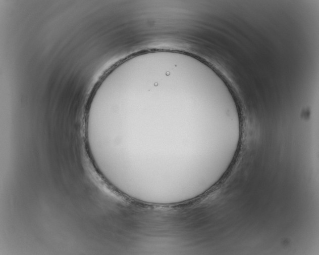 X0000111010848200906191206