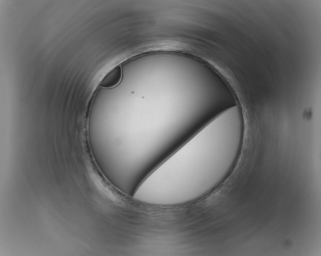 X0000111010850200906191206
