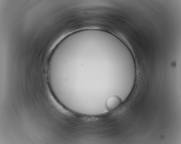 X0000111010851200906191206