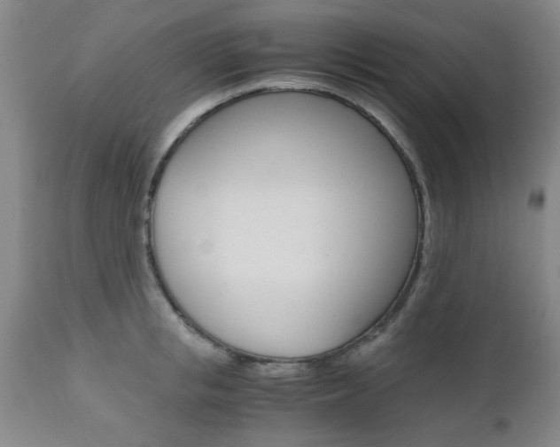 X0000111010853200906191206
