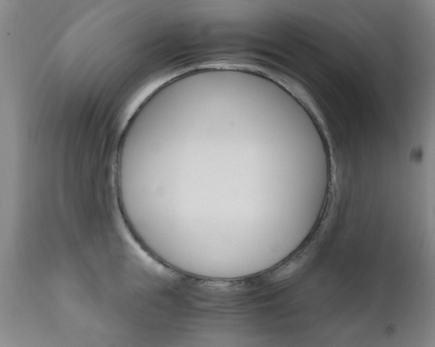 X0000111010855200906191206