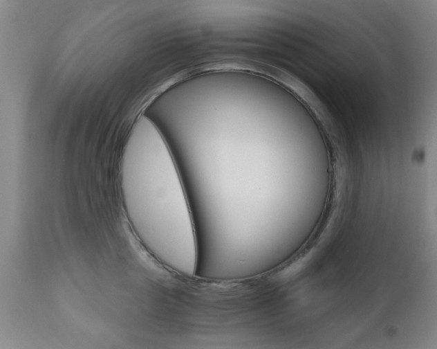 X0000111010857200906191206