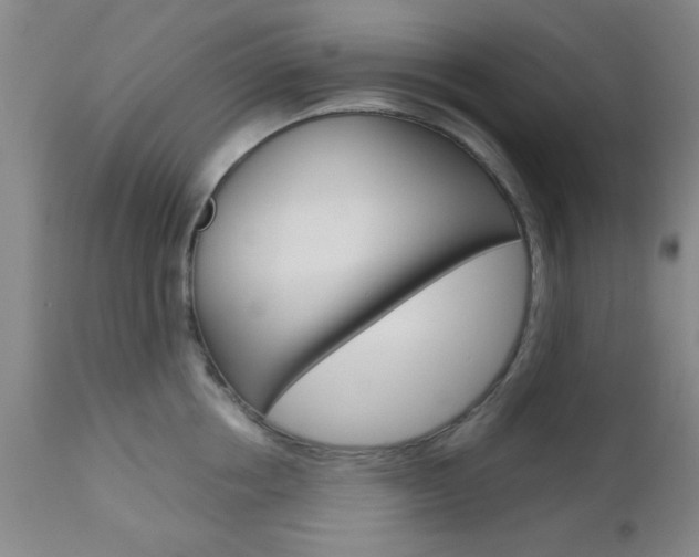 X0000111010858200906191206