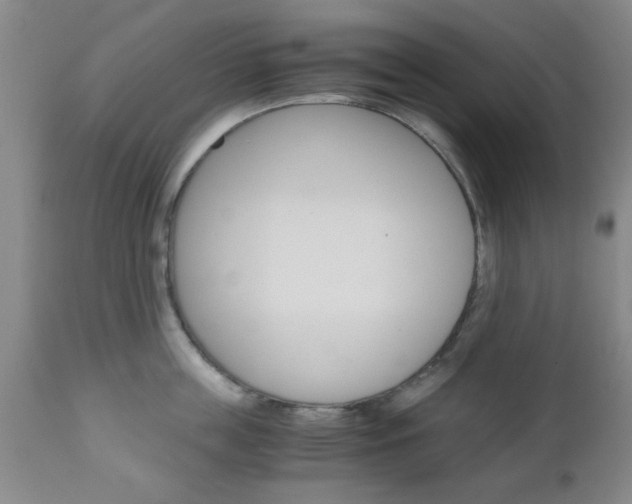 X0000111010859200906191206