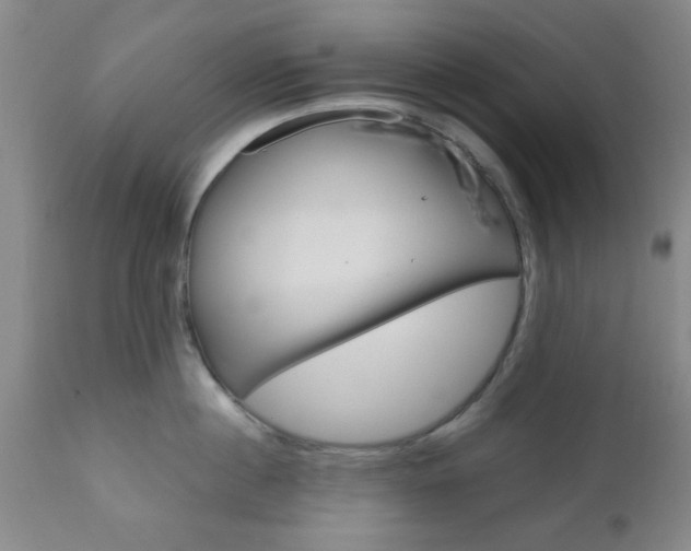 X0000111010860200906191206