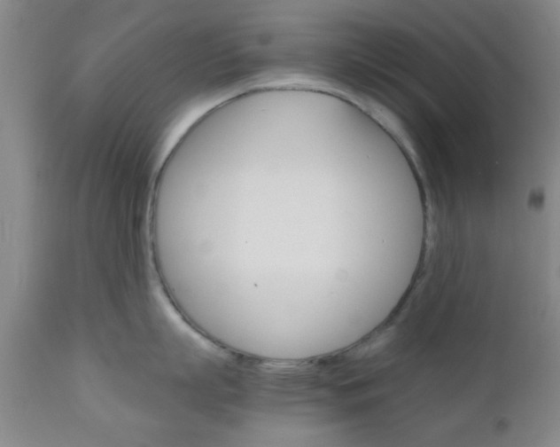 X0000111010863200906191206