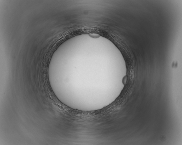 X0000111010865200906191205