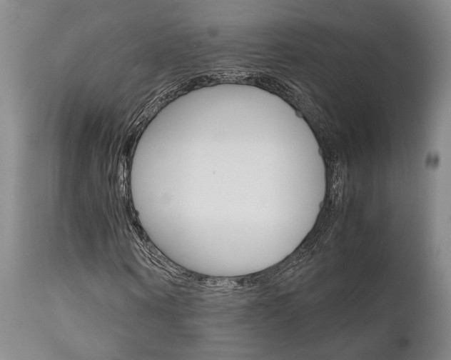 X0000111010866200906191205